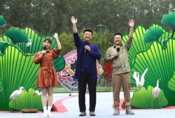 宝山新闻爆料事件视频最新,视频揭露惊人真相，网友热议不断