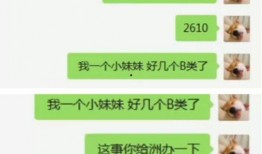 yy最新爆料,揭秘娱乐圈幕后真相