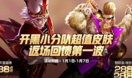 王者荣耀网传最新爆料,神秘英雄登场，技能革新引玩家热议